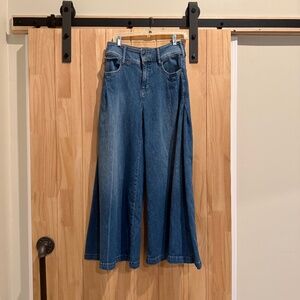 Pilcro “Dramazzo” Mid-Rise Ultra Wide-Leg Jeans — Sz 28 (Anthropologie)
